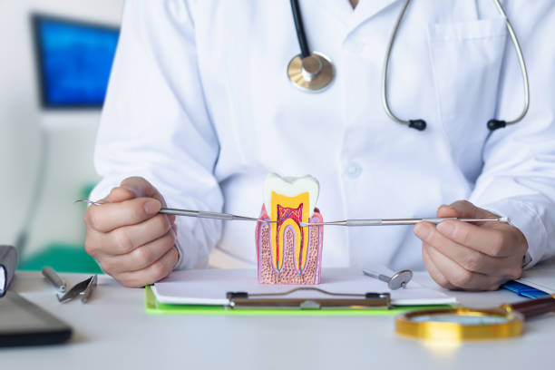 Best Emergency Root Canal Treatment in Ardmore, AL